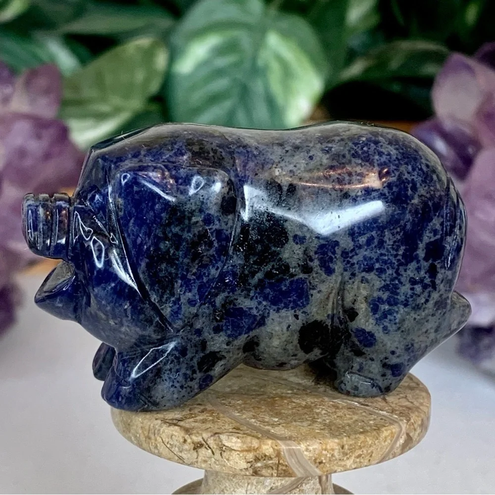Sodalite Crystal Carved Pig Figurine Blue Stone Animal Carving Chinese Zodiac